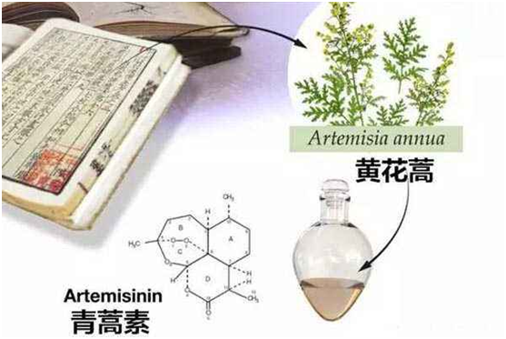 xk在线,xk在线(中国)：向中医药看齐，与世界共享中医药文化(图1)